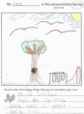 Spring Tree